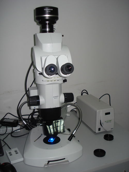 国家重点实验室基因分析仪 体式荧光显微镜开放通知